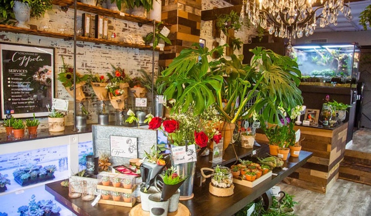 New shop ILLExotics sells tropical plants and animals in East Passyunk