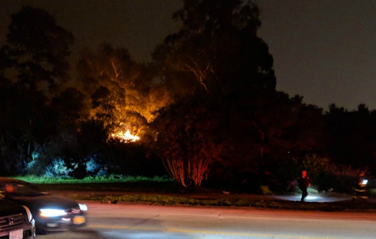 Small outdoor fire in Golden Gate Park is latest in series