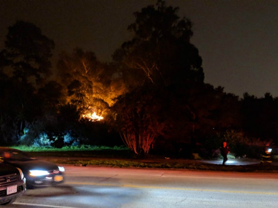 Small outdoor fire in Golden Gate Park is latest in series