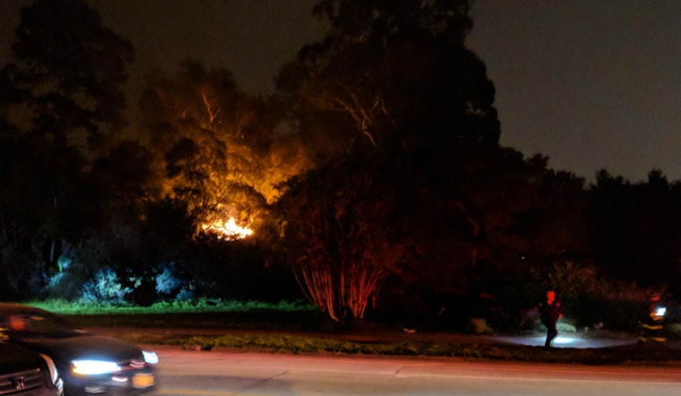 Small outdoor fire in Golden Gate Park is latest in series