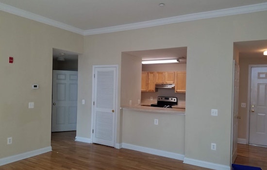Renting in Baltimore: What will $1,000 get you?