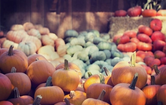 3 ways to make the most of your week in Baltimore