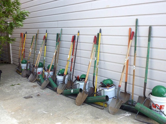 Applications For New Upper Haight, Cole Valley Street Trees Due Soon