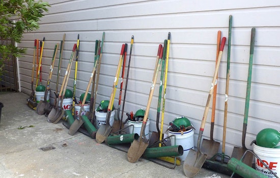 Applications For New Upper Haight, Cole Valley Street Trees Due Soon