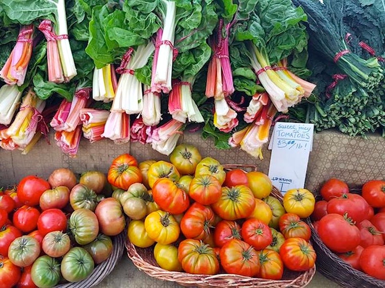 Tomorrow: Castro Farmers Market's Last Hurrah Before Winter Break
