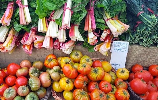 Tomorrow: Castro Farmers Market's Last Hurrah Before Winter Break