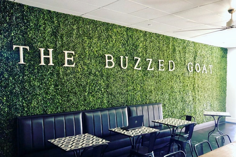 The Buzzed Goat brings coffee, tea and more to Ahwatukee