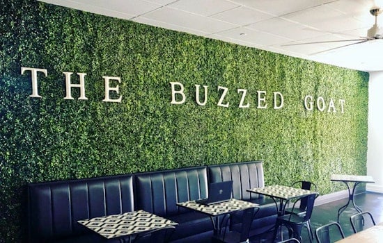The Buzzed Goat brings coffee, tea and more to Ahwatukee