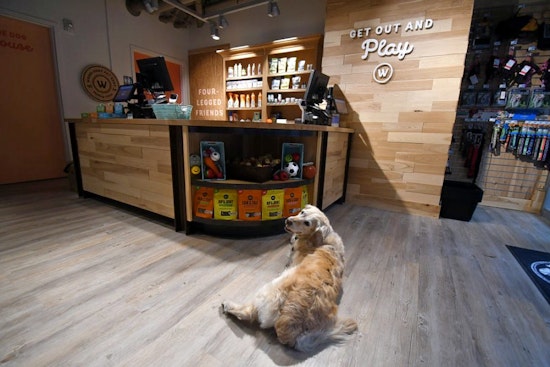 Meows and barks welcome at SoMa's new Woodlands Pet Shop