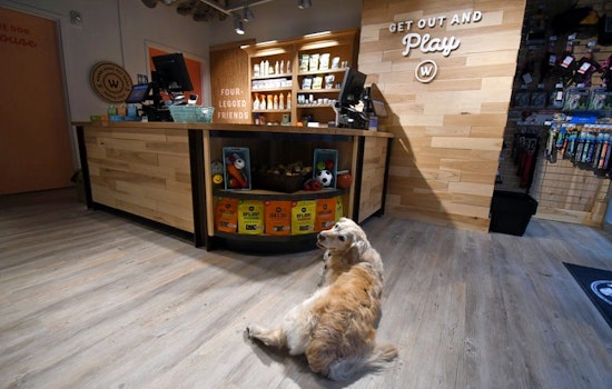Meows and barks welcome at SoMa's new Woodlands Pet Shop