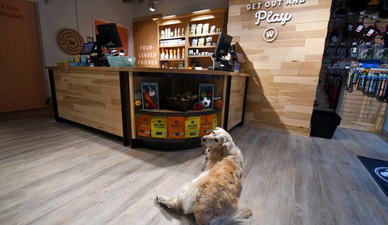 Meows and barks welcome at SoMa's new Woodlands Pet Shop