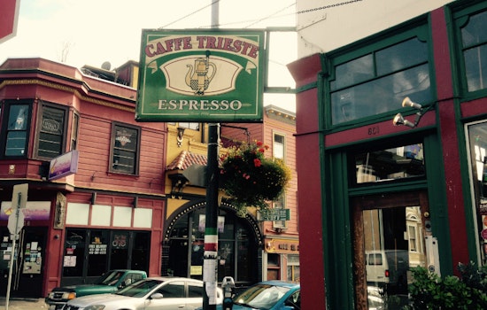 Popular North Beach Sketch Artist Dies After Brutal, Unprovoked Attack