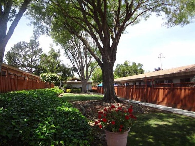 Renting in Sunnyvale: How far does $2,200 per month go?