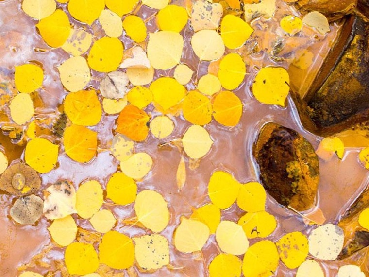 Event Spotlight: YBCA Video Installations Examine Social Media, River Pollution