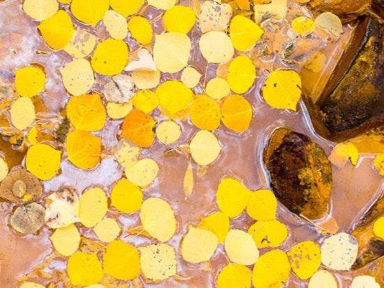 Event Spotlight: YBCA Video Installations Examine Social Media, River Pollution