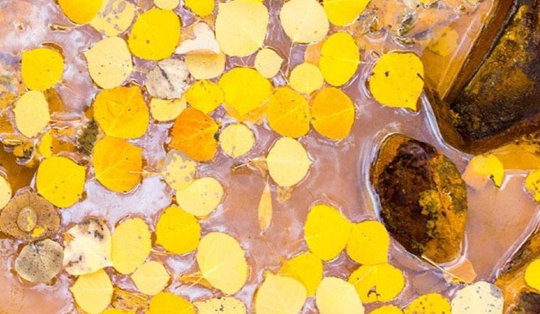 Event Spotlight: YBCA Video Installations Examine Social Media, River Pollution