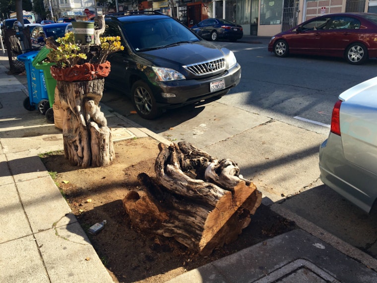 Crafty Lower Haight Tree Stump Felled By Bad Parking Job