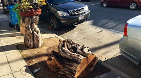 Crafty Lower Haight Tree Stump Felled By Bad Parking Job