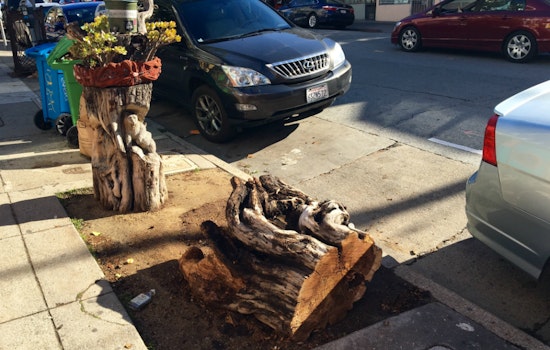Crafty Lower Haight Tree Stump Felled By Bad Parking Job