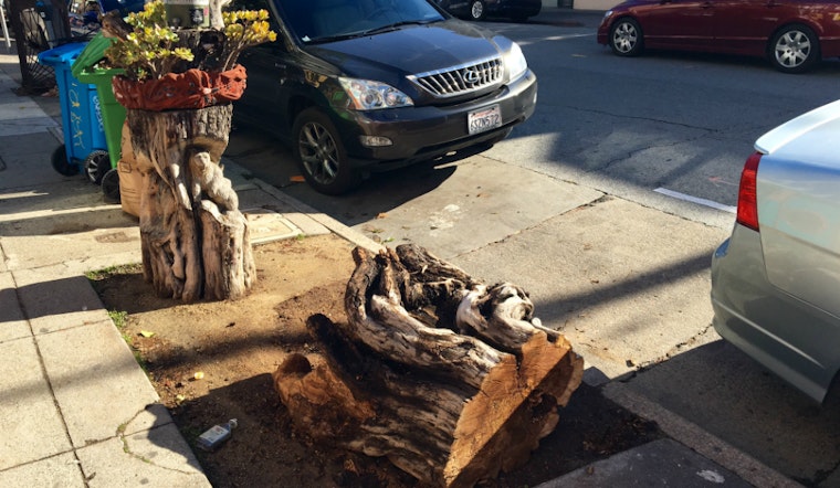 Crafty Lower Haight Tree Stump Felled By Bad Parking Job