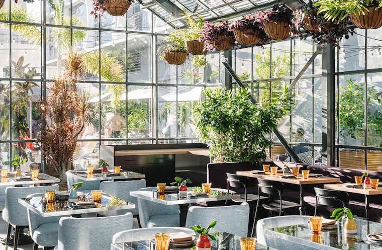 Openaire brings New American fare to Koreatown