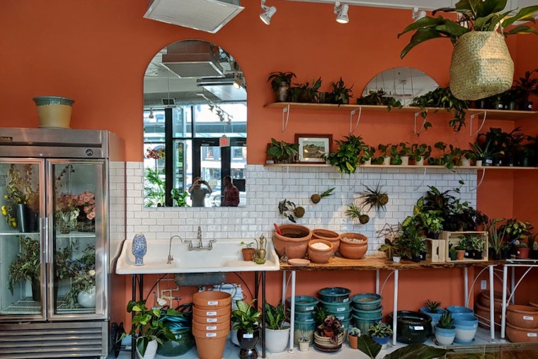 Shaw goes green with new flower and plant studio: Rewild