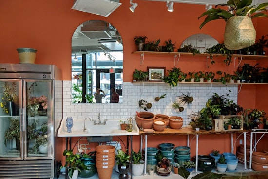 Shaw goes green with new flower and plant studio: Rewild