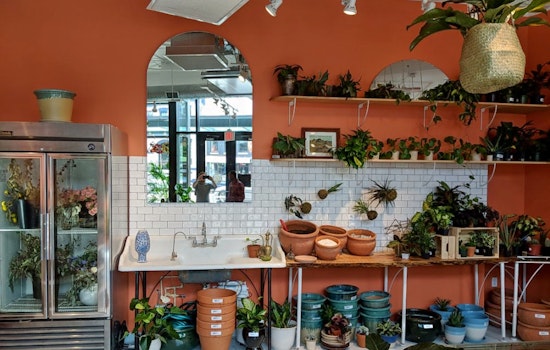 Shaw goes green with new flower and plant studio: Rewild