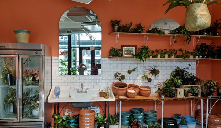 Shaw goes green with new flower and plant studio: Rewild