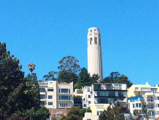 Hoodline Highlights: North Beach's Manifold Community Groups, Demystified