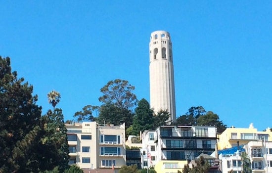 Hoodline Highlights: North Beach's Manifold Community Groups, Demystified