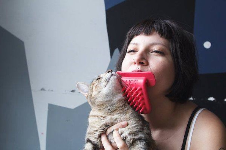 5 cat-tastic crowdfunding projects for feline fun and more