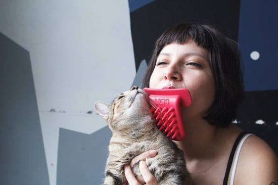 5 cat-tastic crowdfunding projects for feline fun and more
