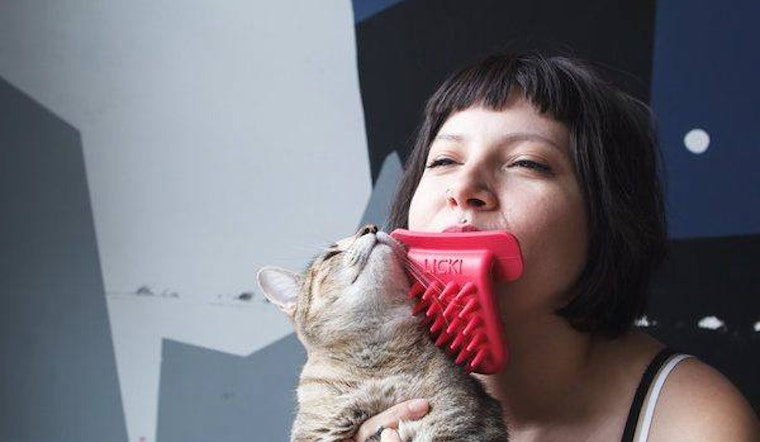 5 cat-tastic crowdfunding projects for feline fun and more