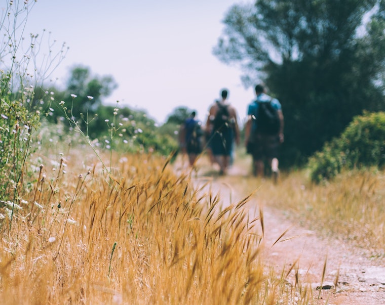 Here’s what you need to know about protecting against Lyme disease