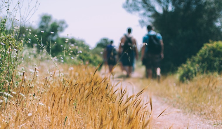 Here’s what you need to know about protecting against Lyme disease