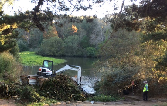 Introducing the 'Aquamog,' Golden Gate Park's new Swamp Thing