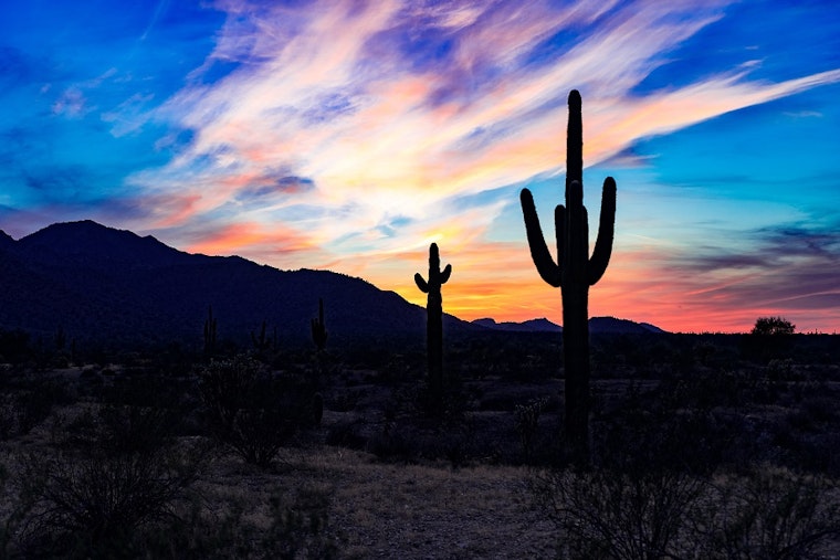 5 can't-miss events to check out in Phoenix this week