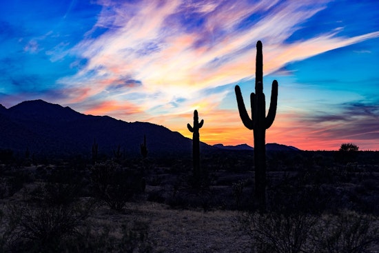 5 can't-miss events to check out in Phoenix this week