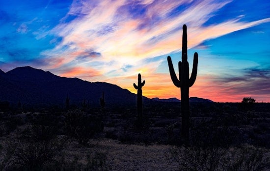 5 can't-miss events to check out in Phoenix this week