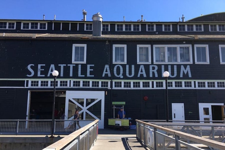 3 ways to make the most of your week in Seattle