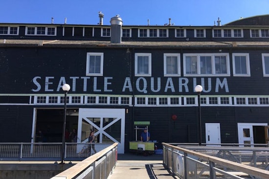 3 ways to make the most of your week in Seattle