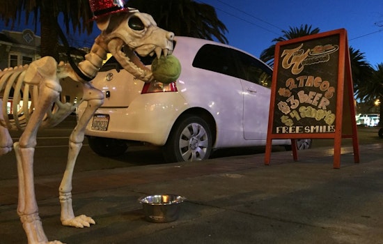 Castro Week: Goodbye 2015, Let's Celebrate 2016!