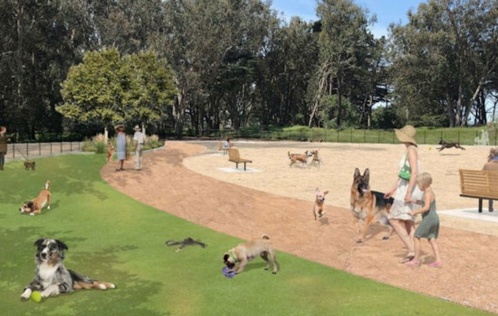 Plans released for Golden Gate Park dog play area improvements