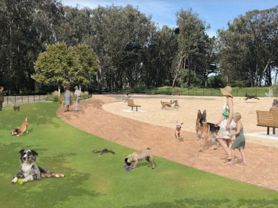 Plans released for Golden Gate Park dog play area improvements
