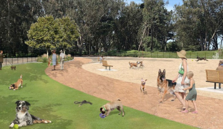 Plans released for Golden Gate Park dog play area improvements