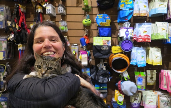Meet Megan Johnson, Pet Lover And Animal House Proprietor