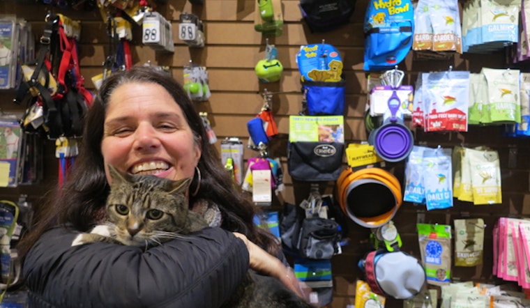Meet Megan Johnson, Pet Lover And Animal House Proprietor