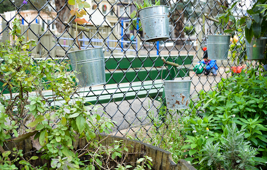 Meet The Panhandle Park Stewards, Keeping The Greenway Thriving