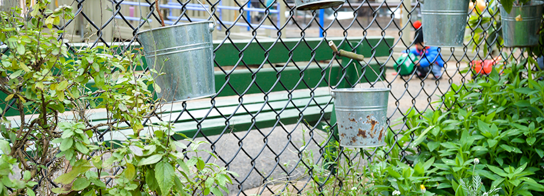Meet The Panhandle Park Stewards, Keeping The Greenway Thriving